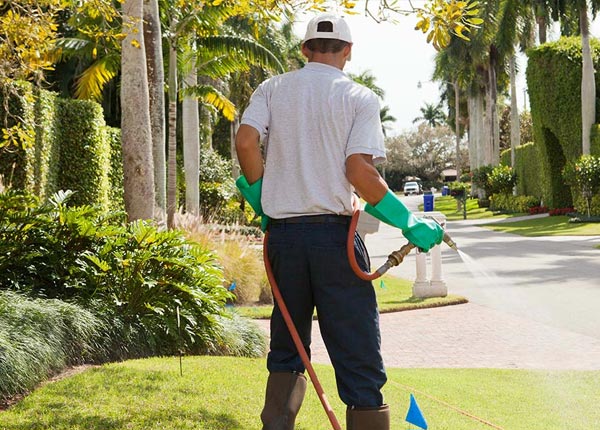 About Rio Grande NJ Pest Control Pros